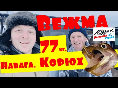 Видео: 77 КОРЮХА И НАВАГИ ЗА 1 ДЕНЬ!  РЕКА ВЕЖМА В УНСКОЙ ГУБЕ #Рыболов_Севера