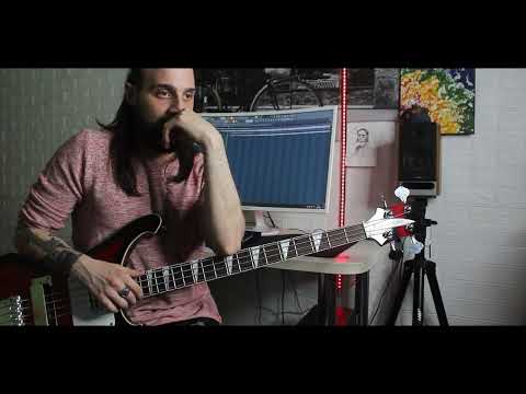 Видео: Кино - Спокойная ночь | Bass Cover