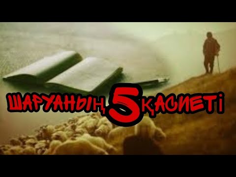 Видео: Жақсы малшының 5 қасиеті, мал бағу үшін қандай қасиеттер керек?