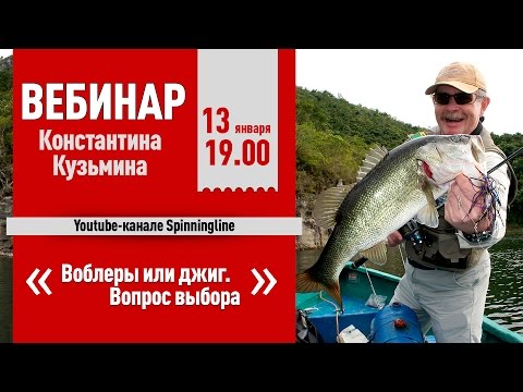 Видео: Вебинар Константина Кузьмина "Воблер или джиг. Вопрос выбора"