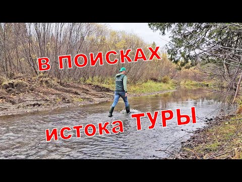 Видео: Исток река Тура