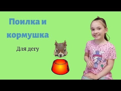 Видео: Вещи дегу. Серия №3. Поилка и кормушка
