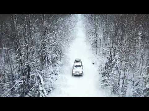 Видео: СКАЗОЧНЫЙ ЗИМНИЙ ЛЕС,КОРОТКАЯ РЫБАЛКА В ВОЛОГОДСКОЙ