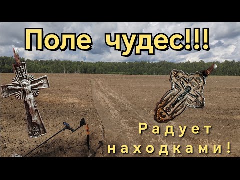 Видео: Один из лучших выездов за сезон! коп, лето 2024.
