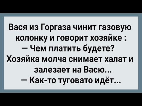 Видео: Как Вася из Горгаза за Работу Брал Натурой! Сборник Свежих Анекдотов! Юмор!
