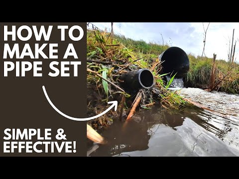 Видео: БЫСТРЫЙ И ПРОСТОЙ набор, который добавит меха в ваш грузовик! Набор труб для ловли енота, норки и...