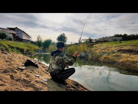 Видео: МИКРОРЕЧКА ПОЛНАЯ РЫБЫ. Не успеваю ловить! Крупная ПЛОТВА на ПОПЛАВОК.