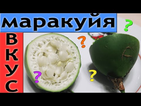 Видео: Маракуйя Северная Отзыв, Вкус! Дегустация Пассифлоры Инкарната! Пассифлора съедобная...