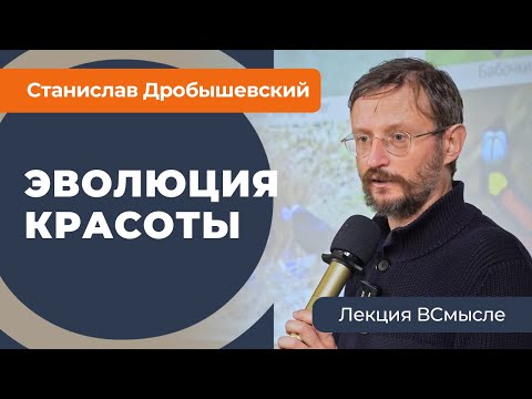 Видео: Дробышевский о красоте в древнем мире