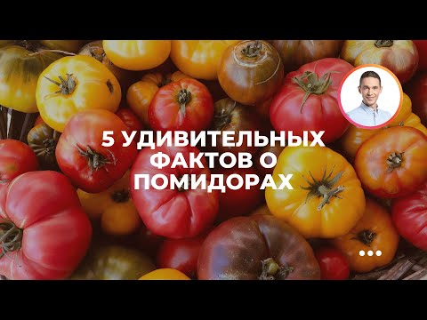 Видео: 5 удивительных фактов о помидорах