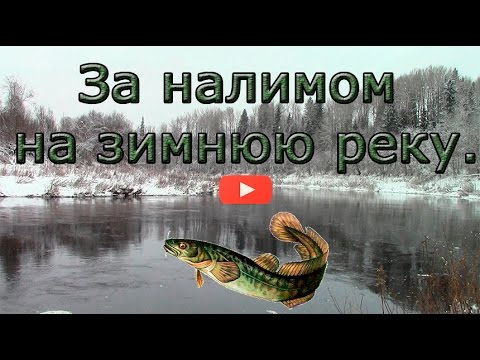 Видео: Ловля налима поздней осенью. (Самое подробное описание рыбалки!!!)