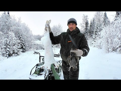 Видео: СЛАБОНЕРВНЫМ НЕ СМОТРЕТЬ! ЗАЯЦ ПОЛЗЁТ НА ПЕРЕДНИХ ЛАПАХ! ОХОТА НА БЕЛЯКА И РЯБЧИКА В ТАЙГЕ ПО СНЕГУ.