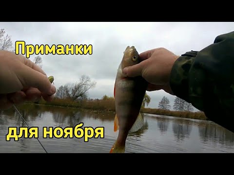 Видео: На что ловить окуня в ноябре/отличный клев.