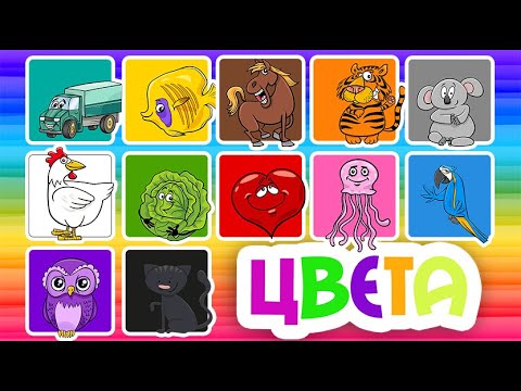 Видео: Учим ЦВЕТА - Развивающие мультики для детей