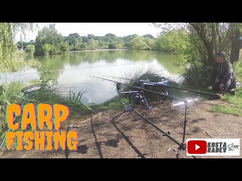 Видео: В търсене на трофейни шарани