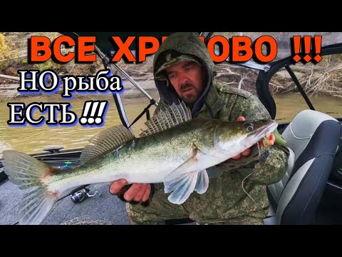 Видео: ВСЕ ХРЕНОВО , НО РЫБА ЕСТЬ !!! Рыбалка на Оби 26 сентября 2024г.
