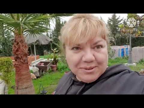 Видео: Накрыла стол прошёл Адам.