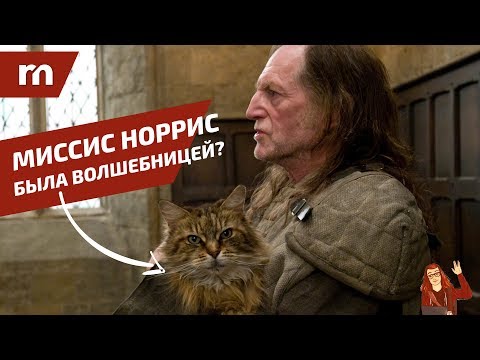 Видео: ⚡️ ТОП 10 фанатских теорий Гарри Поттера ⚡️