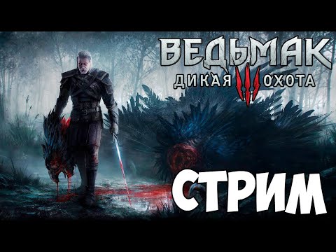 Видео: Ведьмак 3: Дикая Охота #6