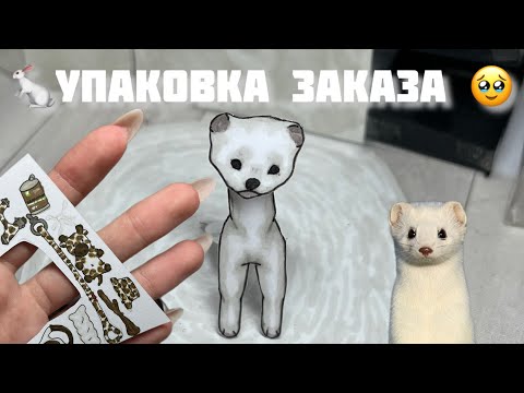 Видео: УПАКОВКА ХОРЬКА НА ЗАКАЗ 🤍ВАЙТИ ДОГ 🐁