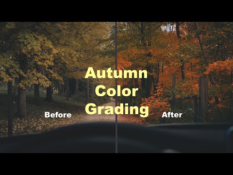 Видео: Обработка Лайтрум осень | Ultimate Autumn Photo Editing Guide