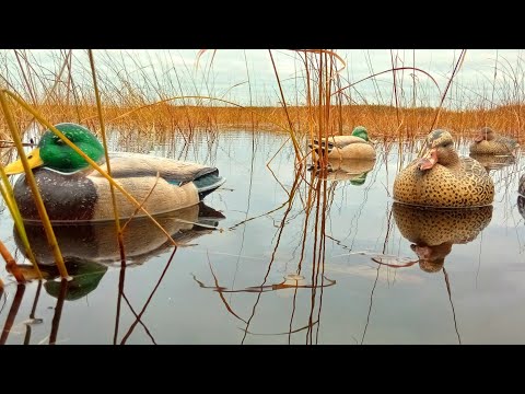 Видео: ВСЕ В ШОКЕ ОТ ЭТОЙ ОХОТЫ И ДАЖЕ МАХНОРЫЛ! ОХОТА НА УТКУ.