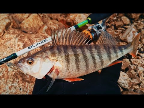 Видео: Костури на джиг. Такъми и примамки