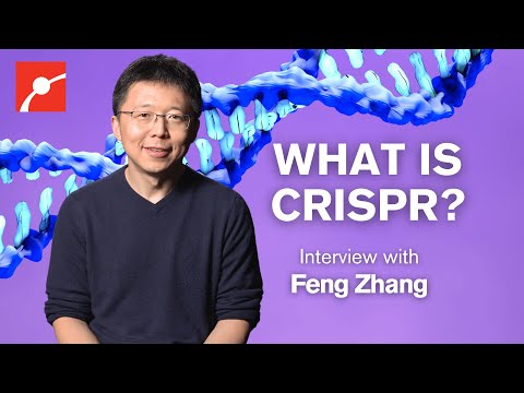 Видео: Раскрываем секреты CRISPR! С участием Фэн Чжана