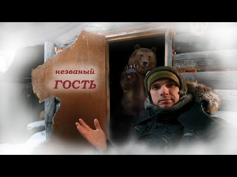 Видео: НАПАДЕНИЕ МЕДВЕДЯ на ДОМИК НА БОЛОТЕ. Последствия. ЗИМНЯЯ ОХОТА | "НЕЗВАНЫЙ ГОСТЬ"
