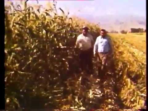 Видео: Часть 2