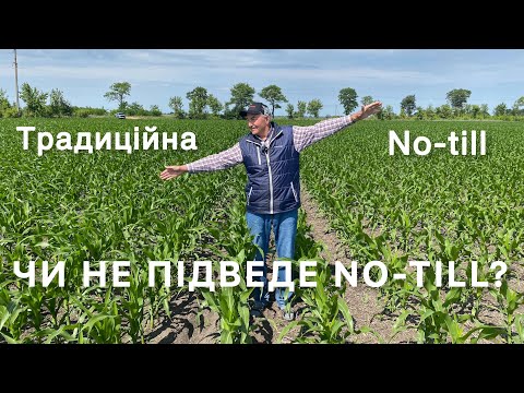Видео: Чому кукурудза по No-till виглядає гірше? Унікальний багаторічний експеримент на Полтавщині