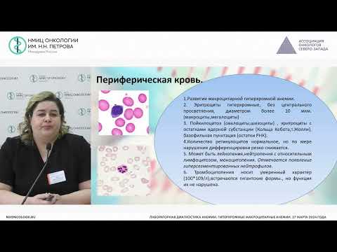 Видео: Лабораторная диагностика анемии. Гиперхромные макроцитарные анемии