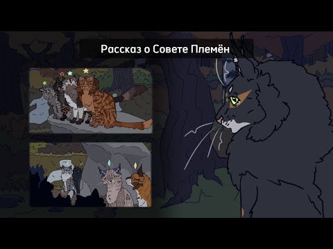Видео: Рассказ о Совете Племён в Котах Воителях 🌌