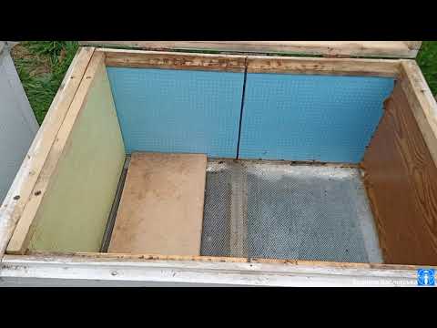 Видео: Вулик з ЕППС плюси і мінуси (28.09.21)🐝💪