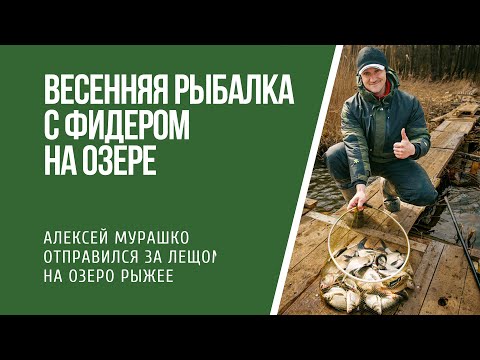 Видео: Весенняя рыбалка на леща с фидером на озере