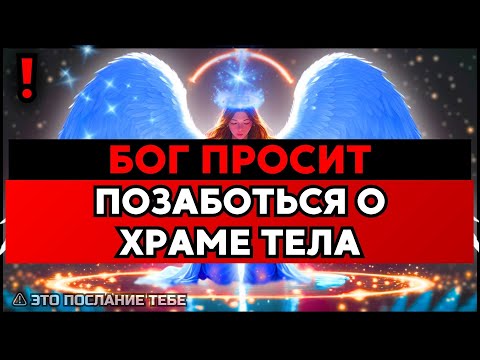 Видео: ИЗБРАННЫЙ, ТВОЕМУ ТЕЛУ СРОЧНО НУЖНО ПИТАНИЕ — ИНАЧЕ НЕ ВЫДЕРЖИТ🙌
