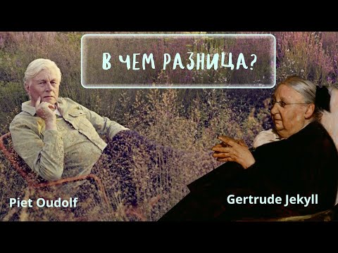 Видео: классический & современный цветник