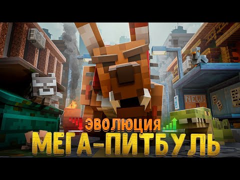 Видео: ПРОШЕЛ 6 СТЕПЕНЕЙ ЭВОЛЮЦИИ В ГОРОДЕ И СТАЛ МЕГА ПИТБУЛЕМ!