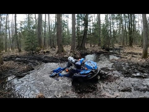 Видео: Открытие квадросезона 2025 в Клину. Aodes, stels, Suzuki, cfmoto.