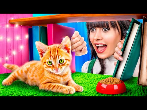 Видео: Строим секретную комнату в шкафу! Секретный домик для кота!
