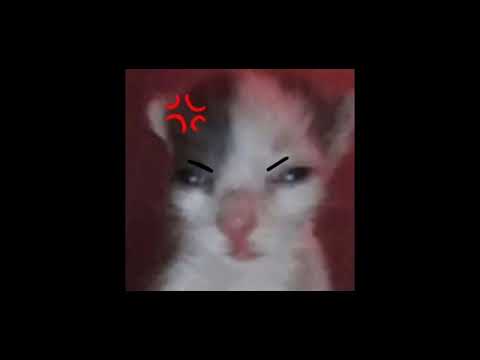 Видео: ты зол на весь мир | playlist