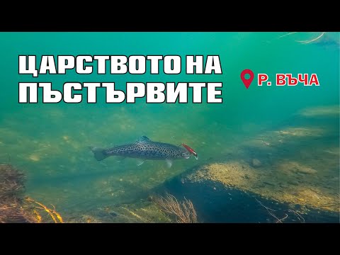 Видео: ПОДВОДЕН СВЯТ на БАЛКАНКИТЕ - РЕКА ВЪЧА