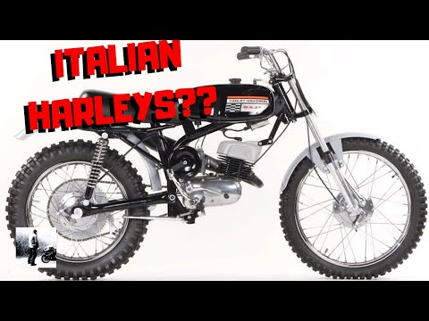 Видео: Что такое Aermacchi Harley Davidson? Каковы годы выпуска Harley AMF?