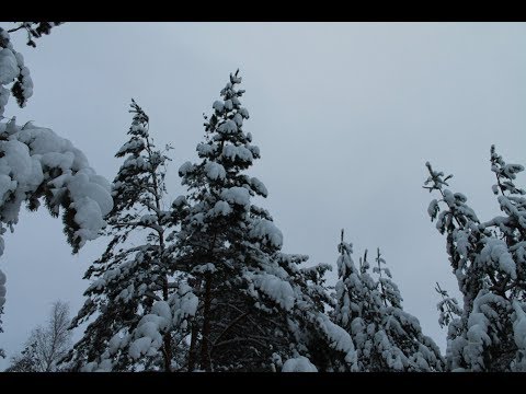 Видео: Самодельный синий йод, дурь помноженная на глупость.