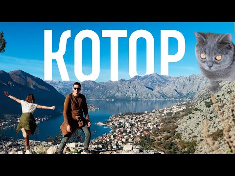 Видео: Черногория, Котор 2021 Бока-Которский залив. Бесплатно поднялись на крепость