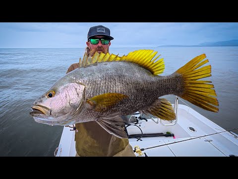 Видео: САМАЯ ЖЕСТКАЯ РЫБА НА ПЛАНЕТЕ!!!