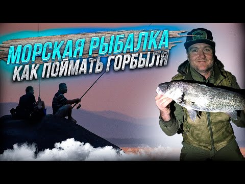 Видео: ЛОВЛЯ ГОРБЫЛЯ С БЕРЕГА/ НОЧНАЯ РЫБАЛКА