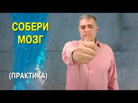 Видео: Собери мозг! Балансировка полушарий мозга