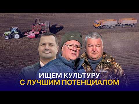 Видео: Удвоили урожайность зерновых и внедряем новые культуры — Зерновой консорциум Казахстана ЗКК
