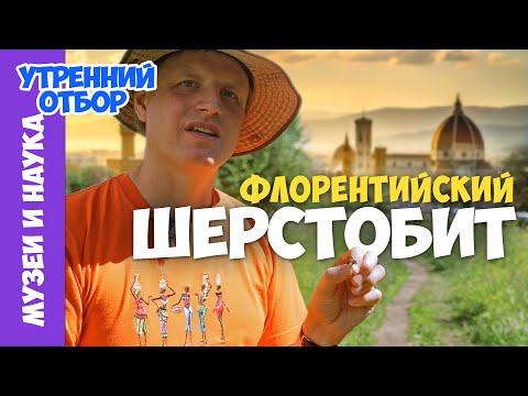 Видео: Как живет флорентийский шерстобит. Тимофей Левченко.